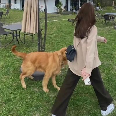 黑礁第二季 封面