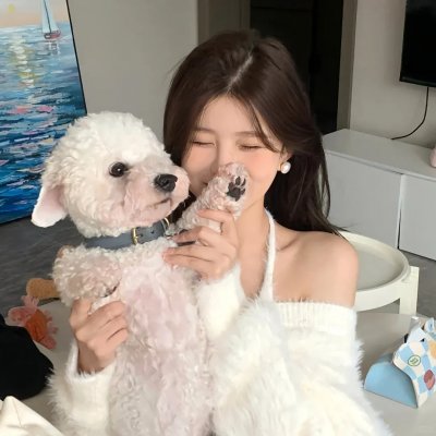 致命访客 封面